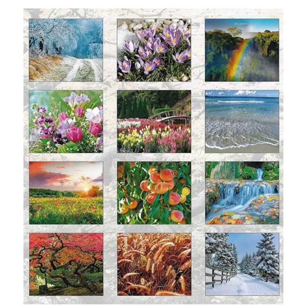 2023 Calenda Seasons in Nature 16 Month Wall Calendar Gift Full Size 12 X 22 in - Picture 2 of 10